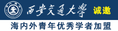 操逼网站欧美激情诚邀海内外青年优秀学者加盟西安交通大学