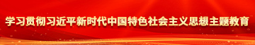 操嫩穴舒服视频学习贯彻习近平新时代中国特色社会主义思想主题教育